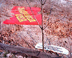 Entrance Sign to Dogpatch USA