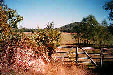 Sugarloaf Knob near Amity