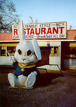 Bunny of Gateway via NYC