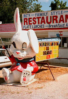 Same Bunny, new colors