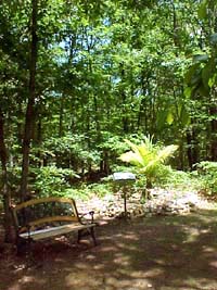 typical display, this one featuring bench, plaque and palm
