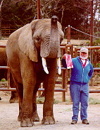 Scott Riddle w/ painting