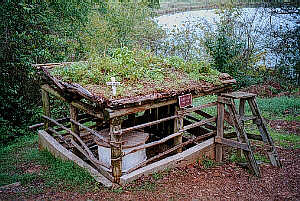 Environmentally Friendly Pig Pen With Roof Garden