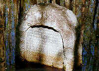 Initial Point Monument