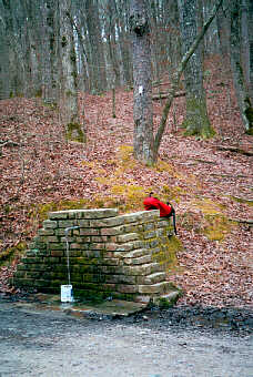 Crystal Spring