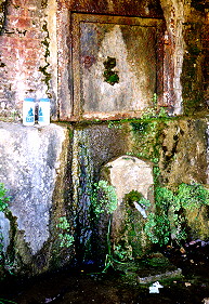 Ravenden Spring Enclosure